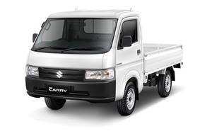 carry pickup